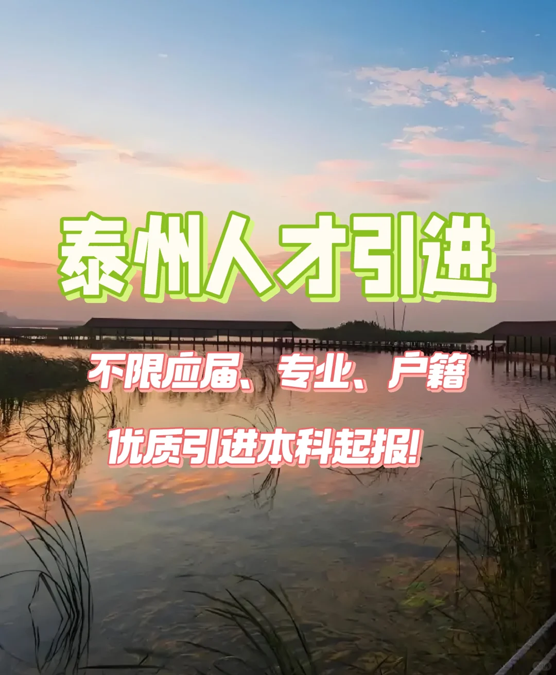 高薪公告引进优青20人