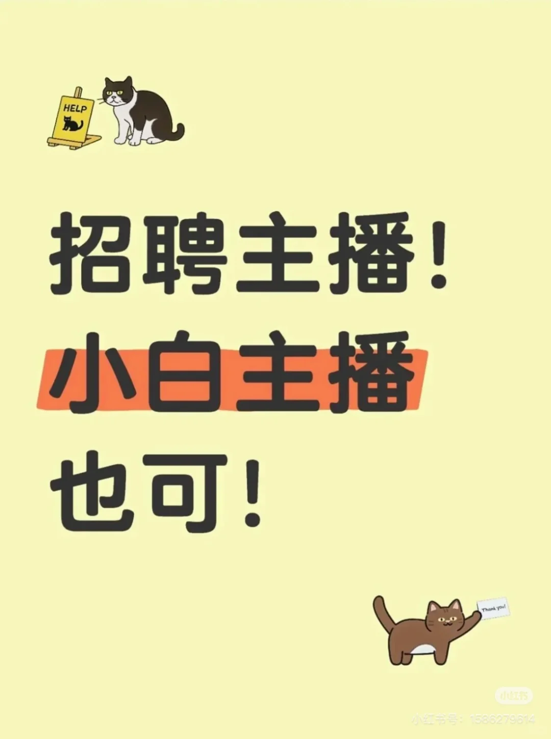 招主播啦！小白均可！