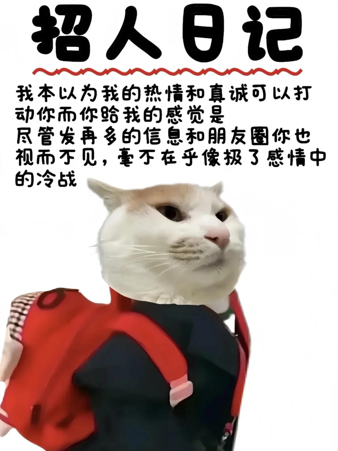 真的有人在招人!快去投递!