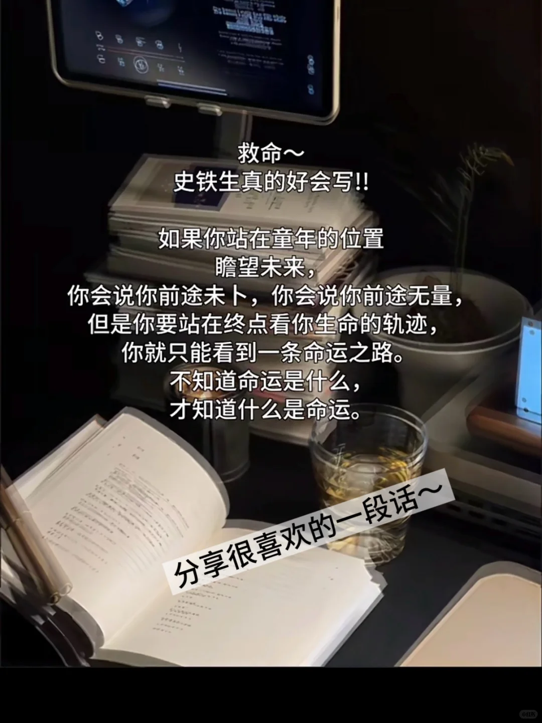 河大研究生上岸邯郸区县人才引进✨