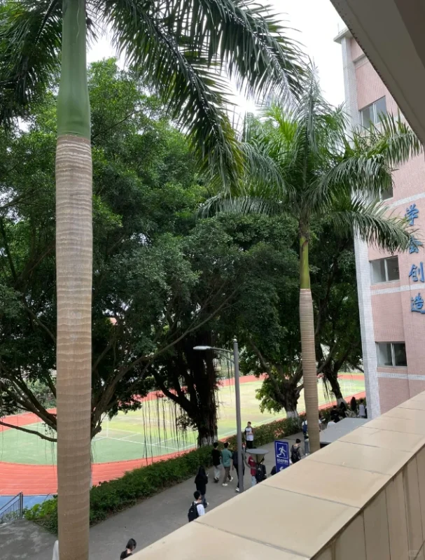 广州康大职业技术学院（无笔试）招聘辅导员