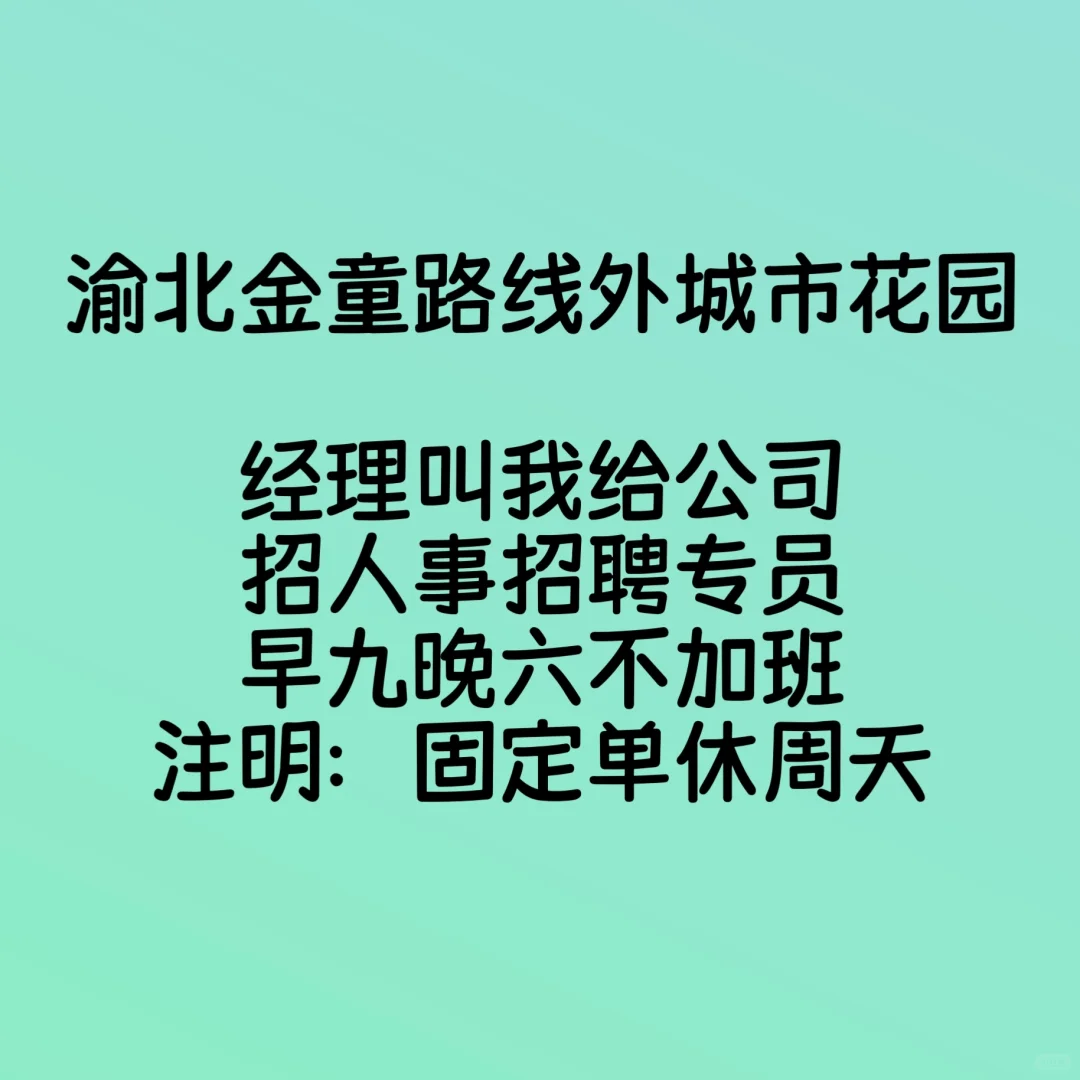 公司让我招聘人才