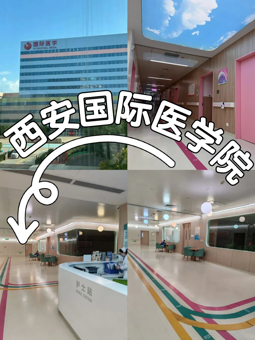 西安国际医学院招聘了