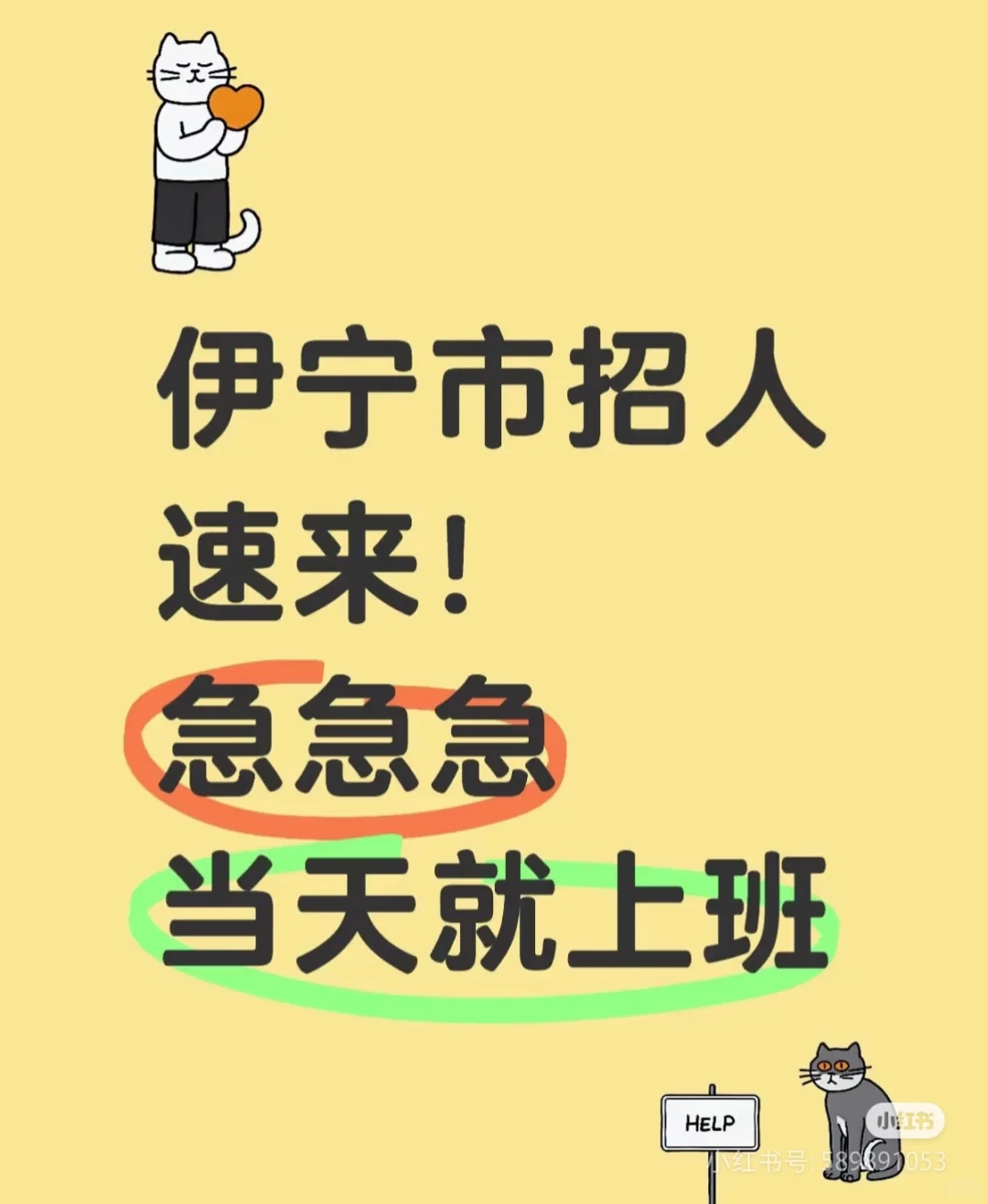 伊宁市招人，速来～
