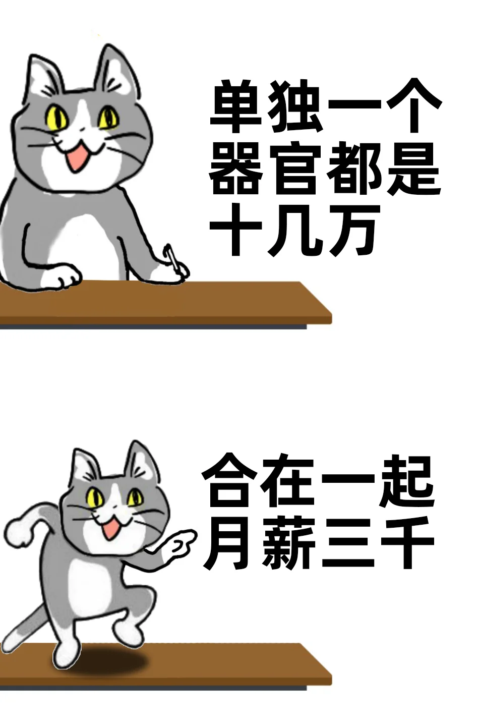 我就是月薪三千的命?
