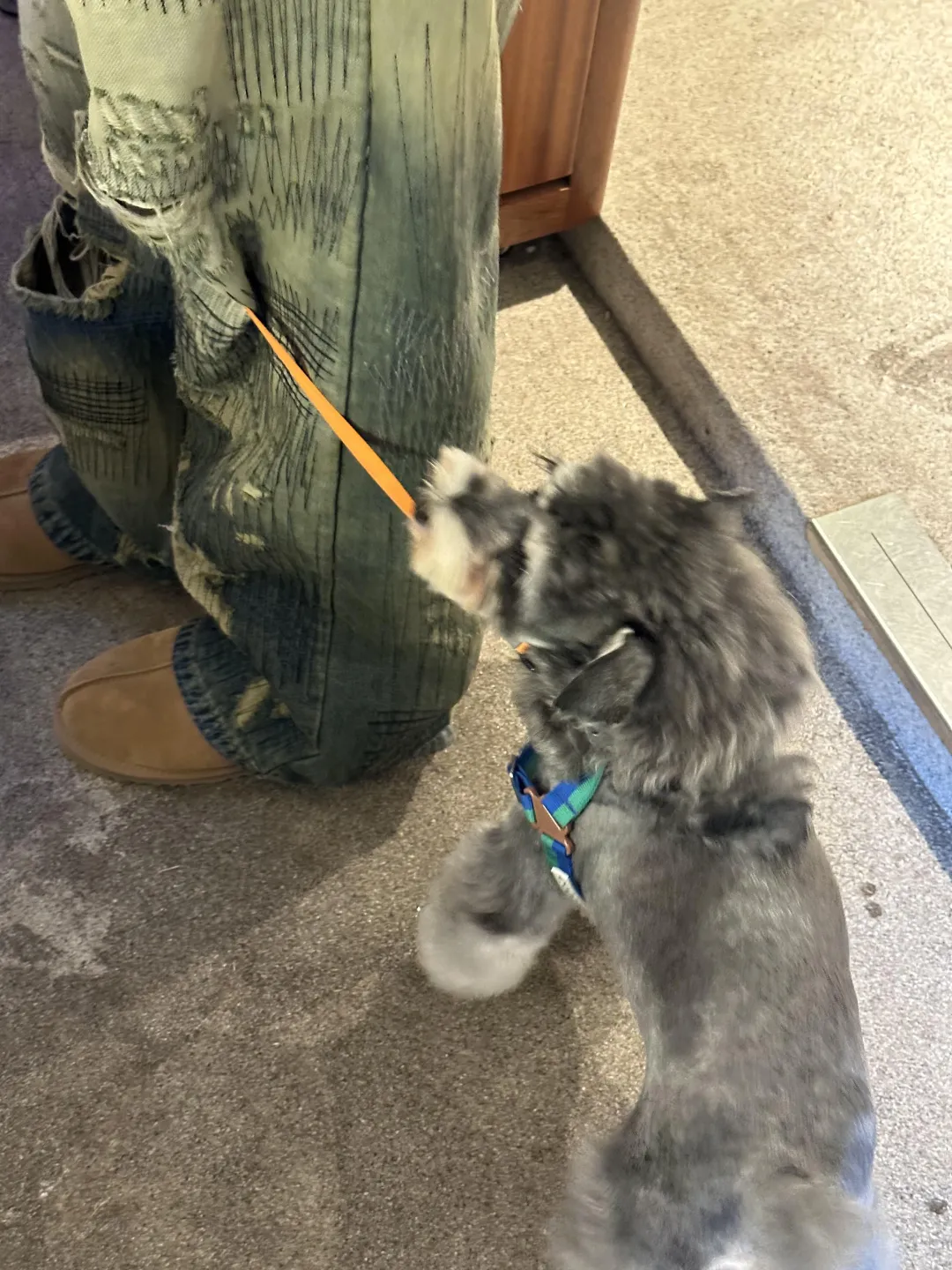 咖啡店招人啦