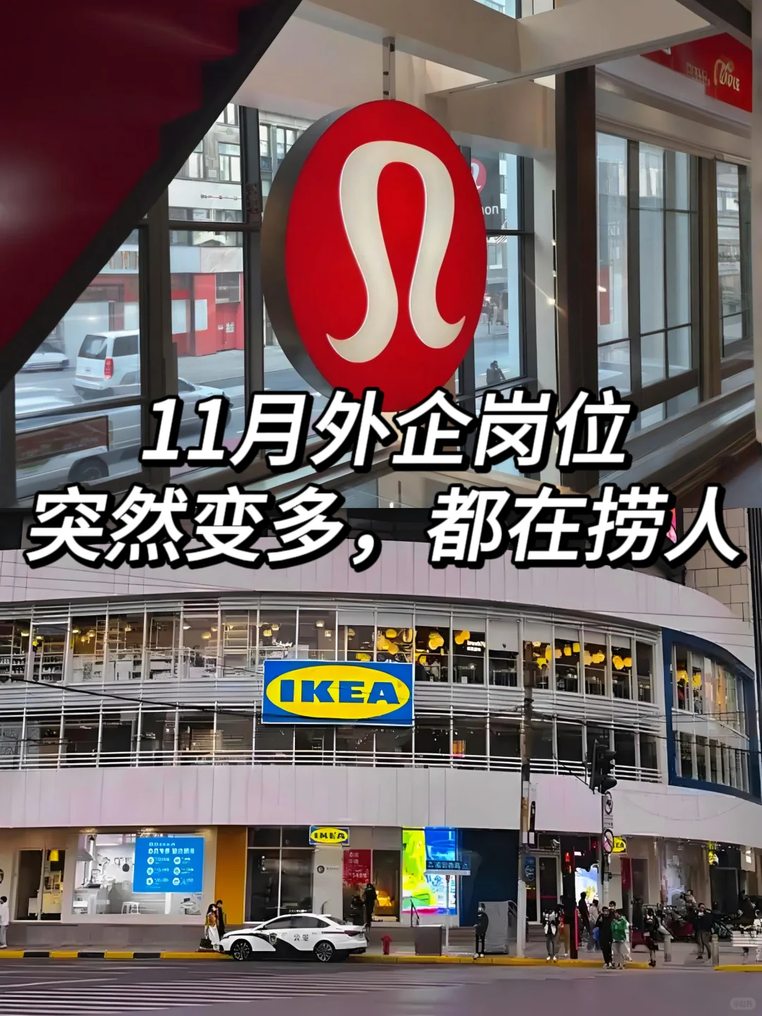 11月才几天就开了这么多外企