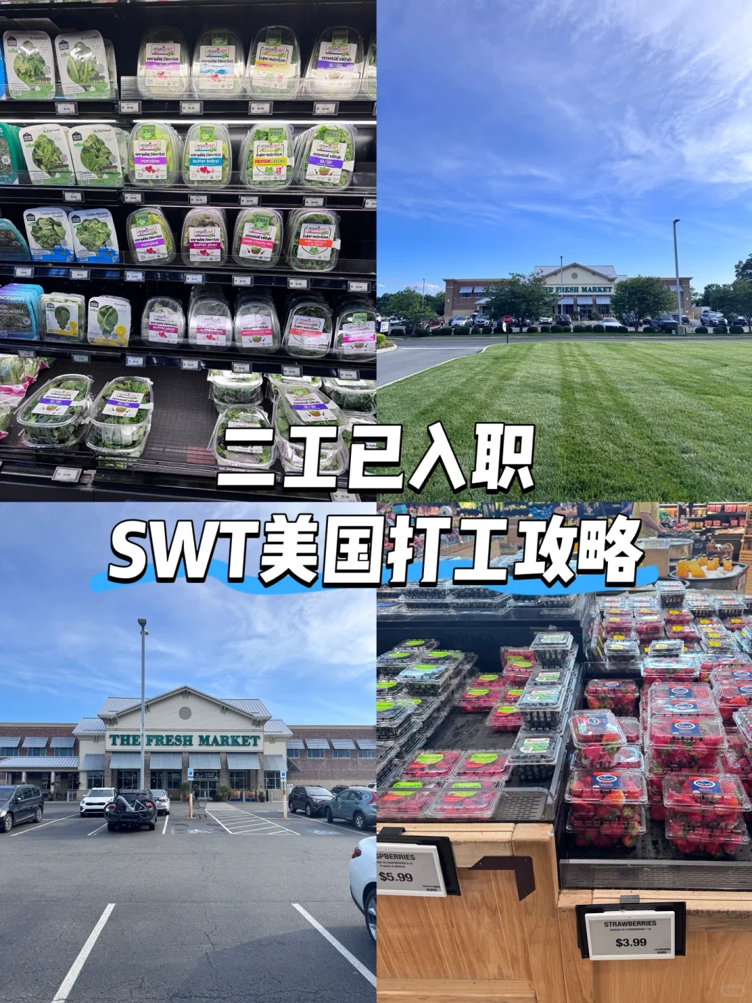 SWT |真实经历+建议分享?