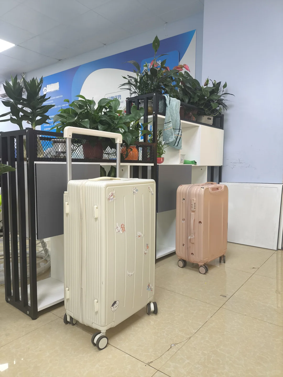 公司直聘保底8000-1.2w