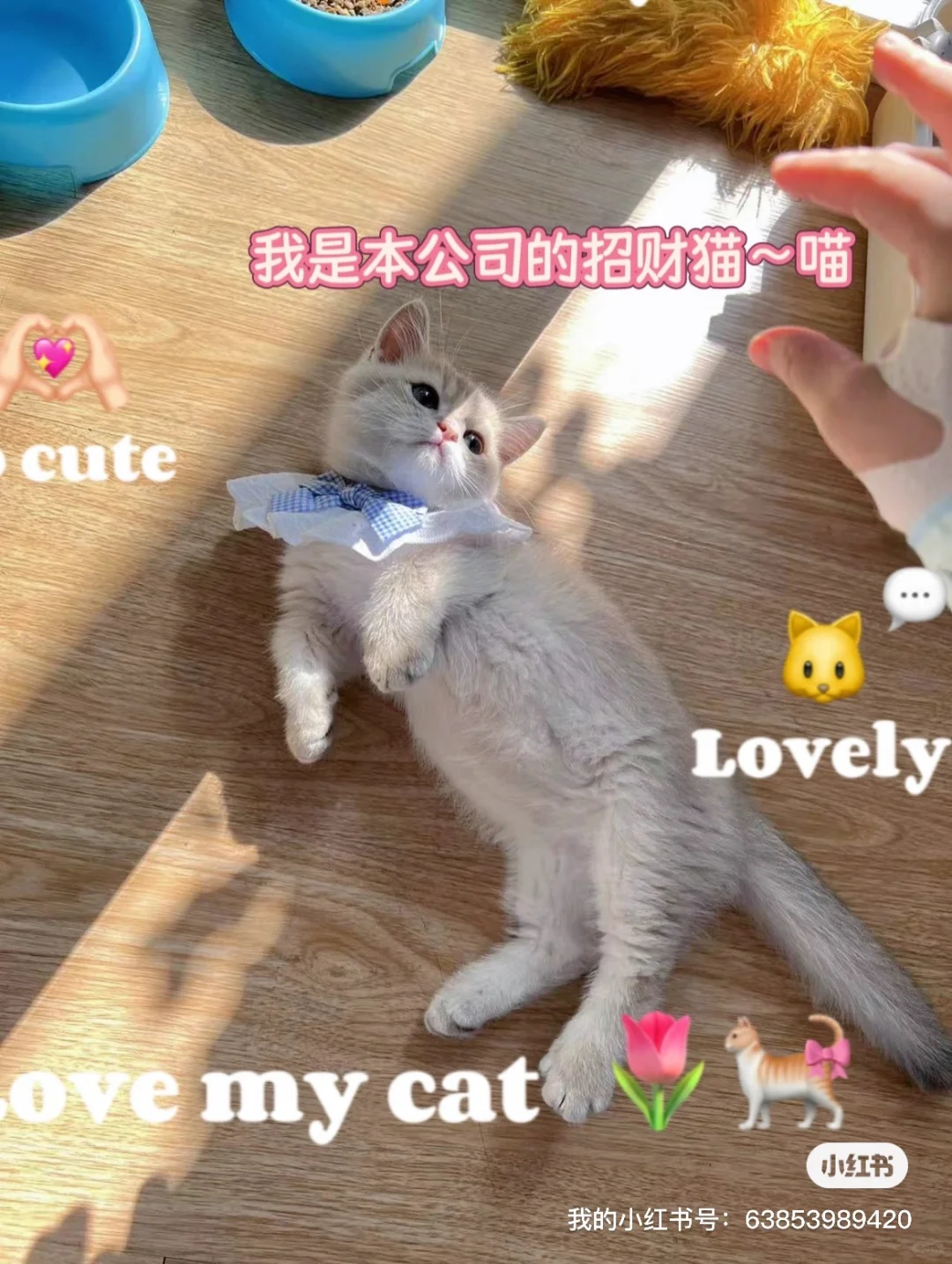 她是带货主播