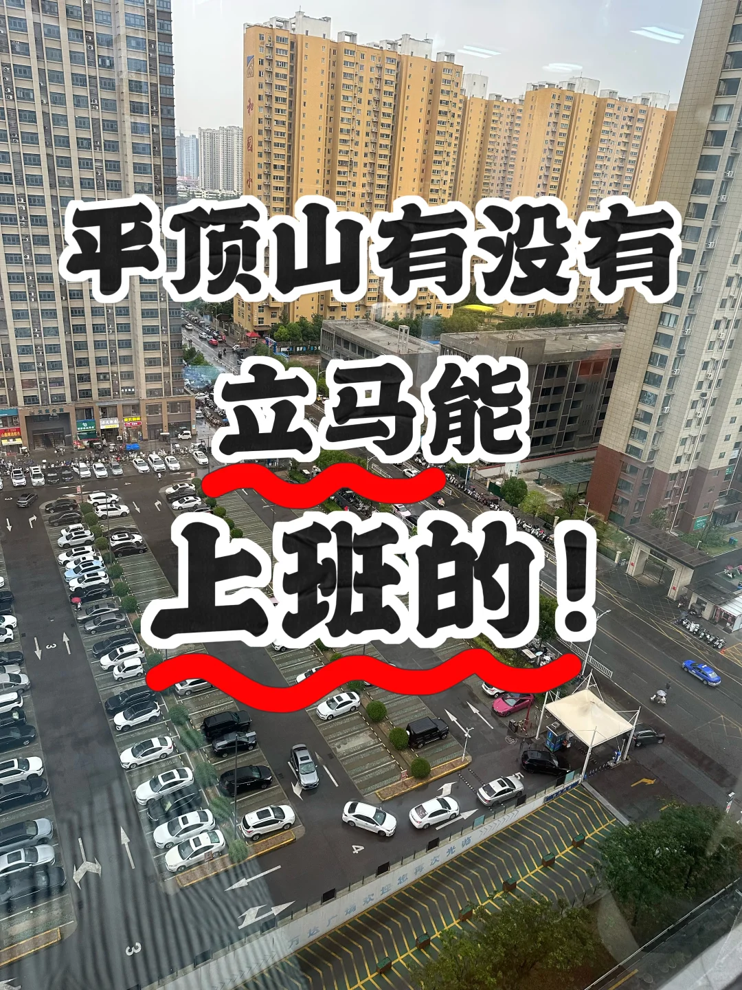 男女都招！交五险