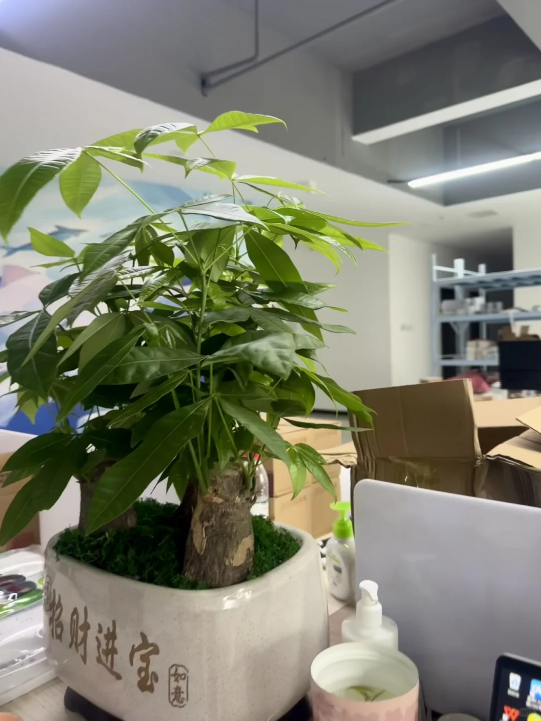 招聘拆卡主播（包吃住不露脸接受小白）