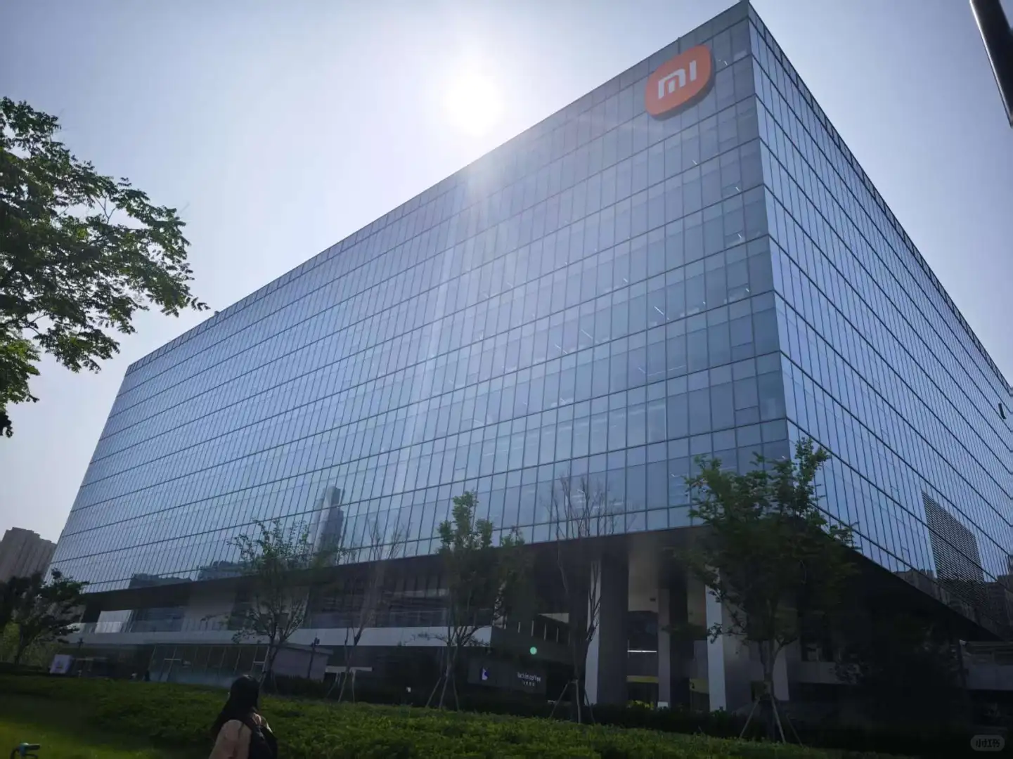 请问一下还有人愿意来小米公司吗？