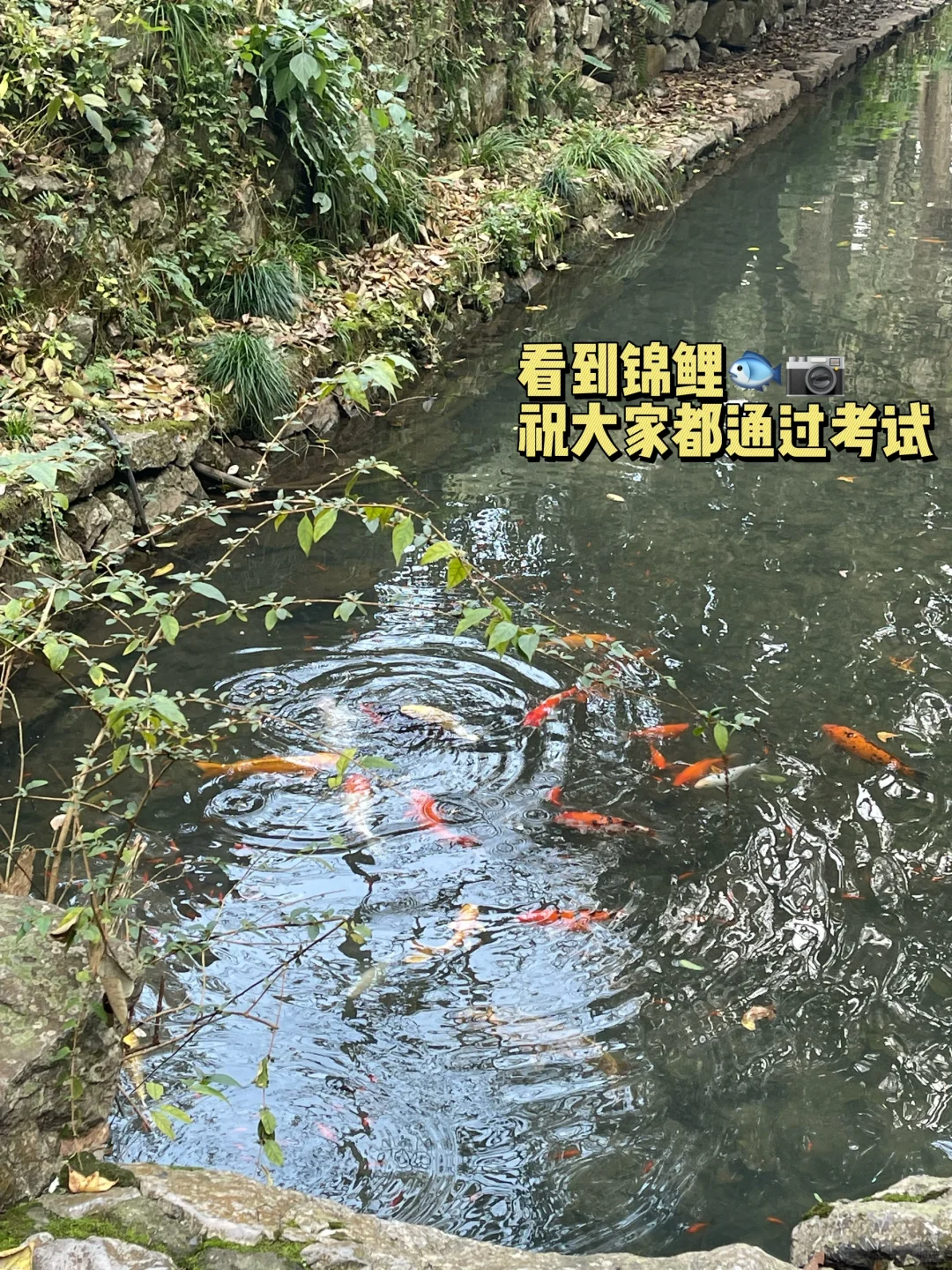 医学专硕|我差点没考过执业医师?!为什么?