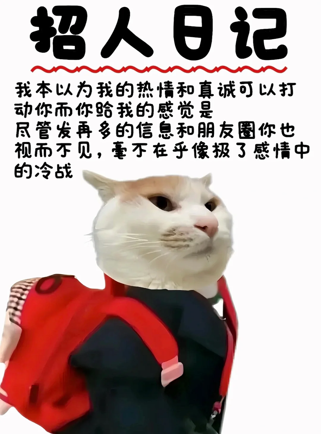 招人！招人！look at me