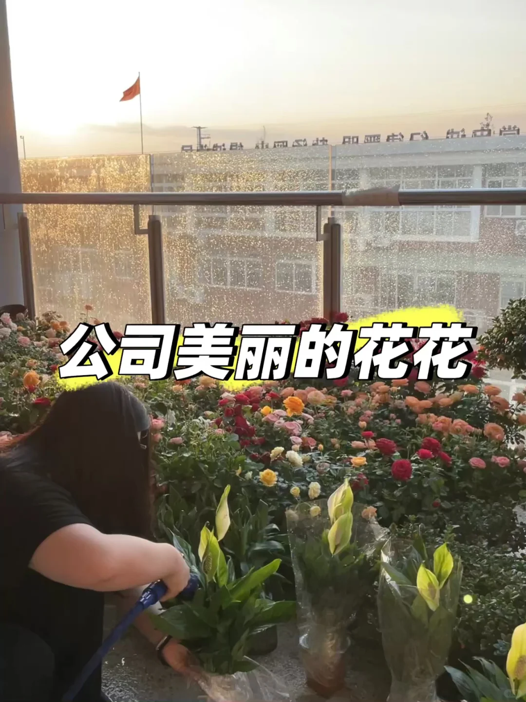 她是带货主播
