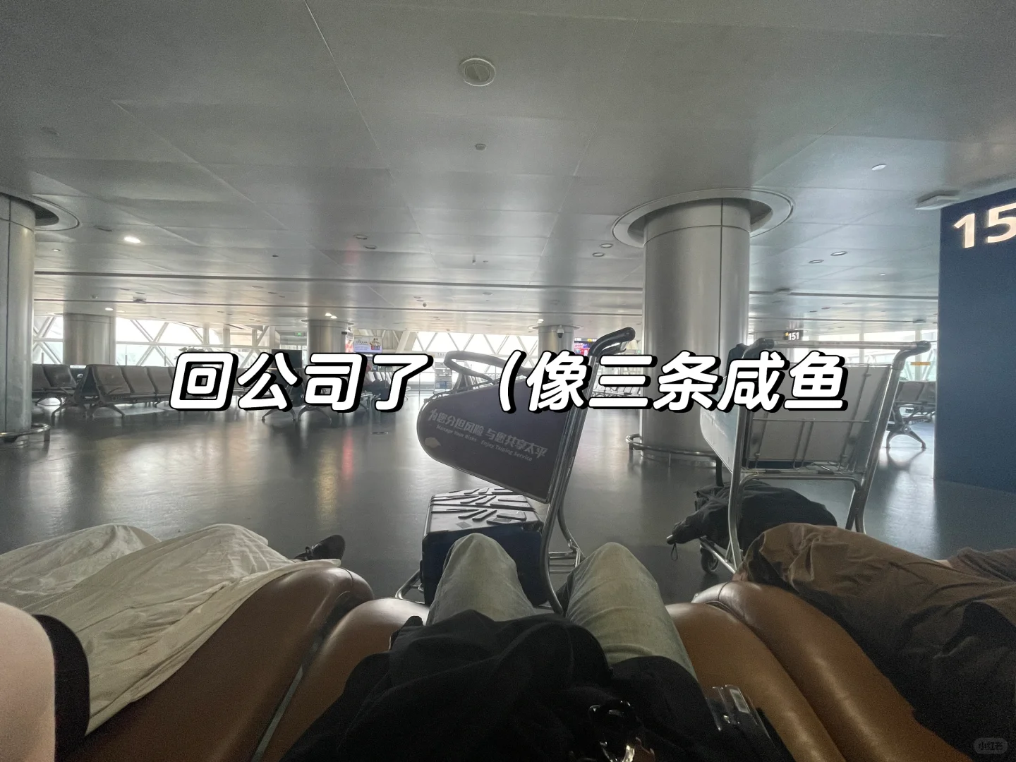 来当马当路实习生啦 附直播运营面经