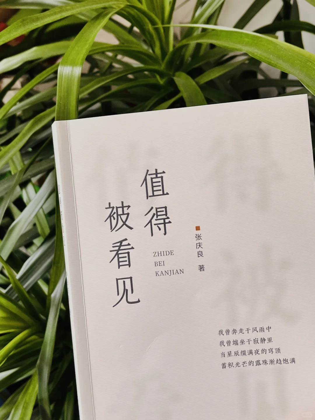 小县城|00后月薪2500的存钱日常
