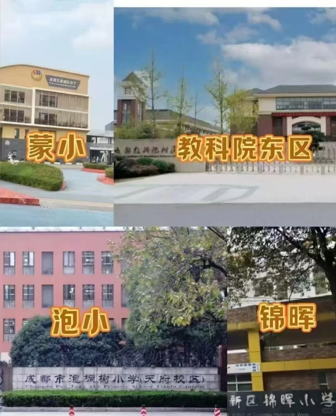 高新区的这些学校可以任选就读了？