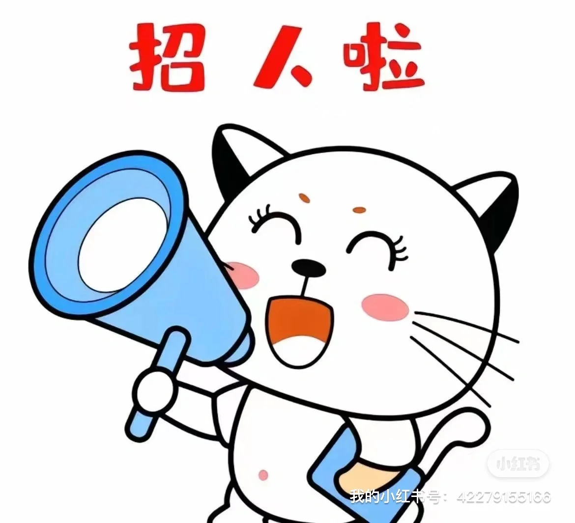 “商务运营岗”直招