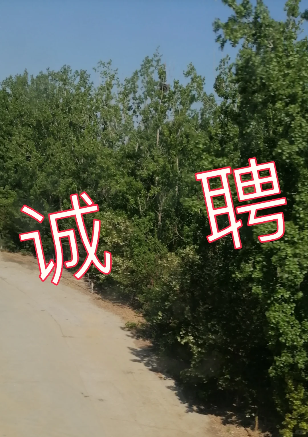 裕华区神仙岗位来啦