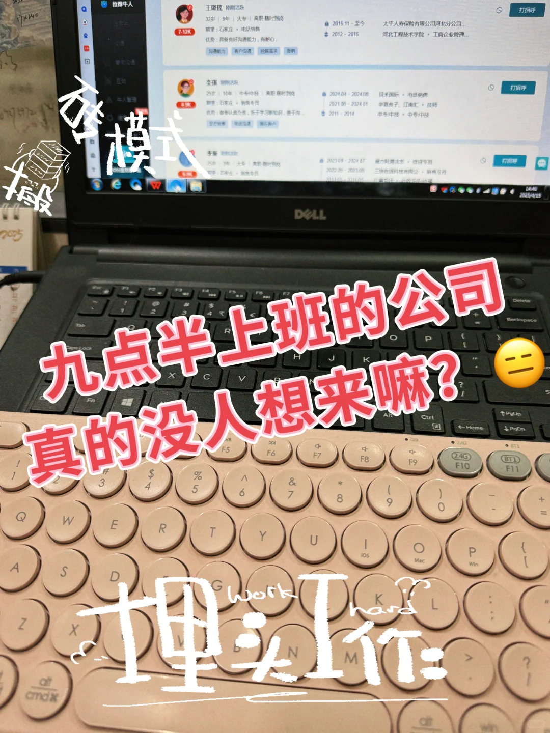 石家庄神仙公司哇,快来快来~
