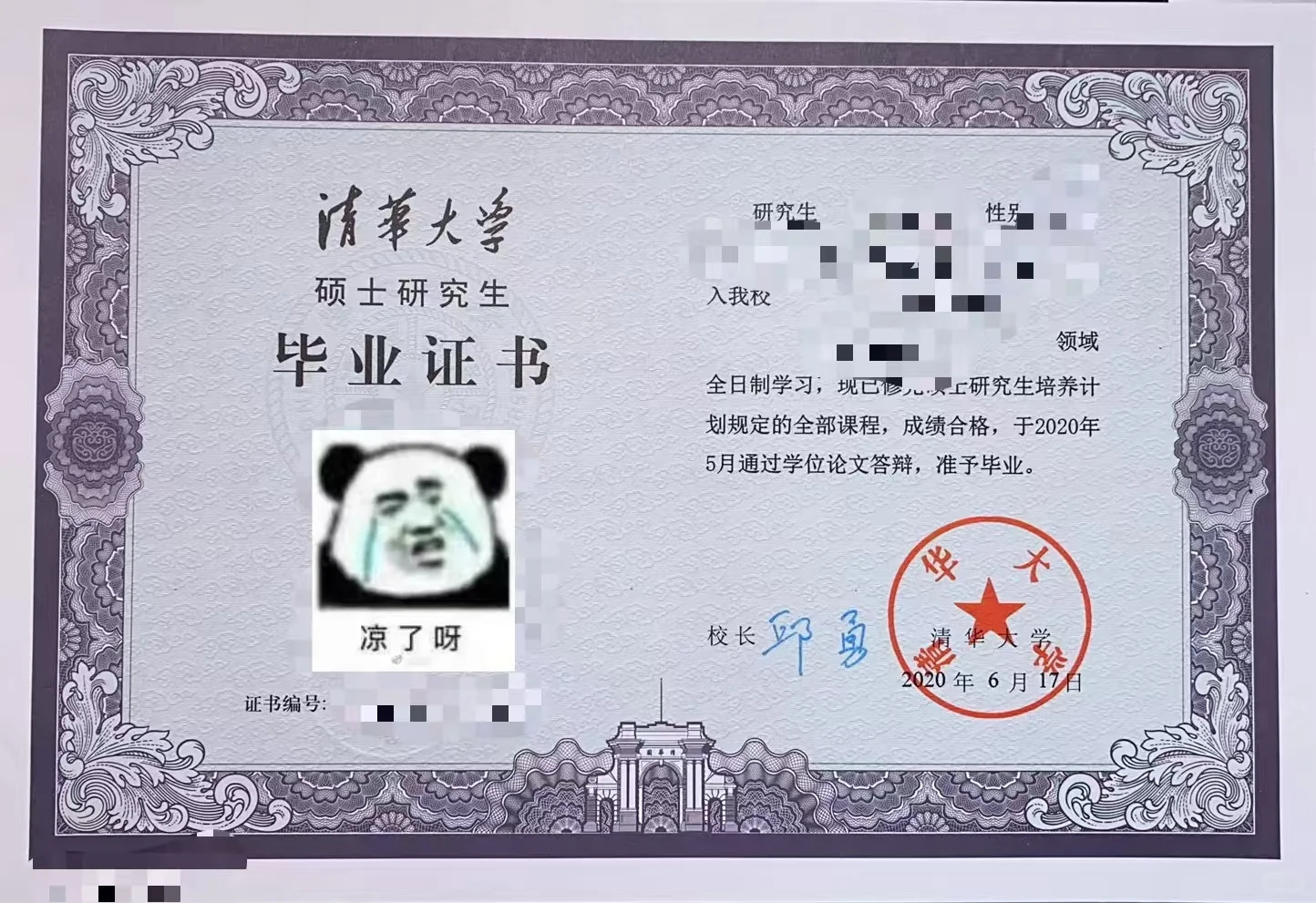 【流水账】我为什么裸辞笛子的高薪工作