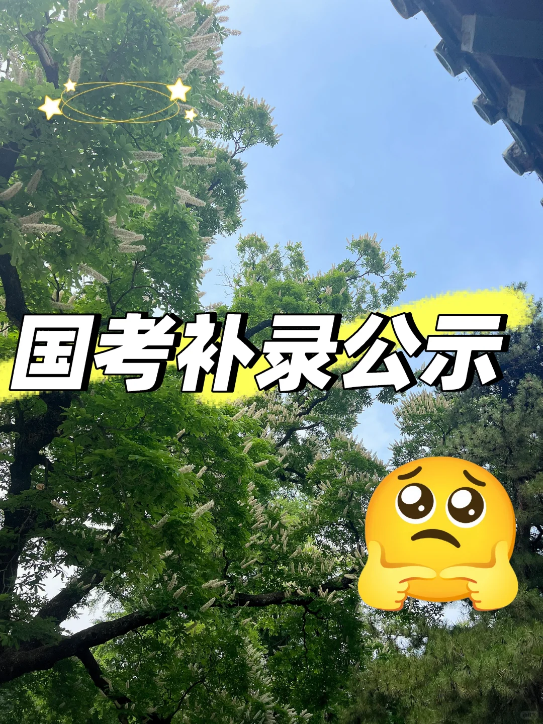 国考补录公示到底啥时候出！！！
