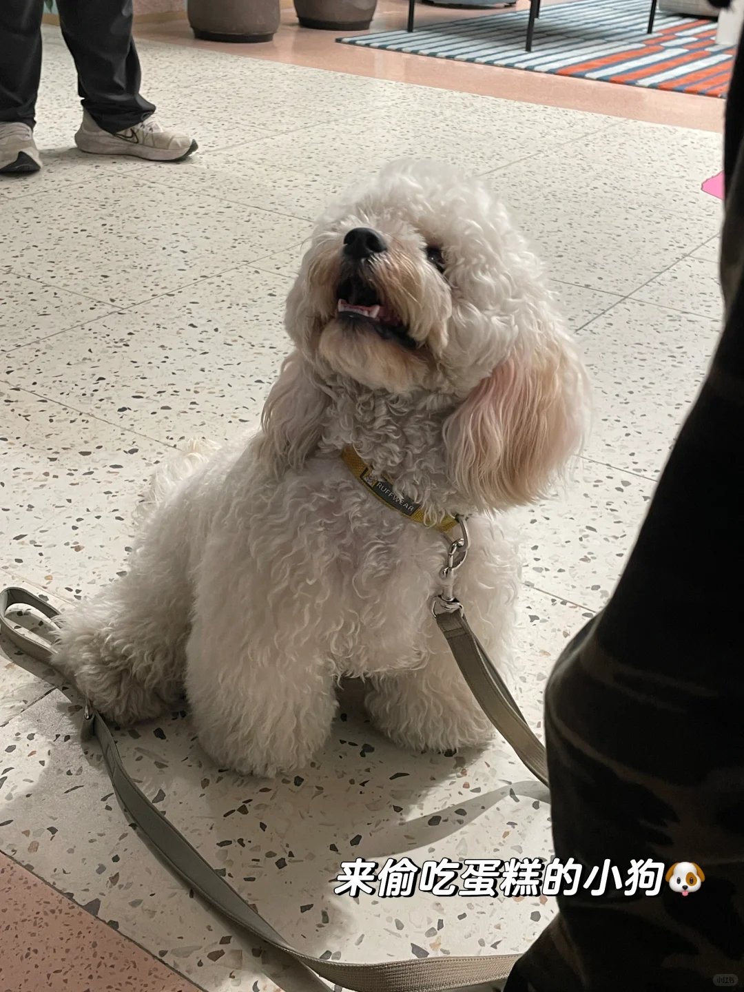 来当马当路实习生啦 附直播运营面经
