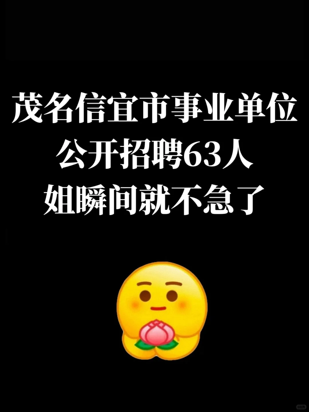 茂名信宜市事业单位招聘，姐瞬间就不急了