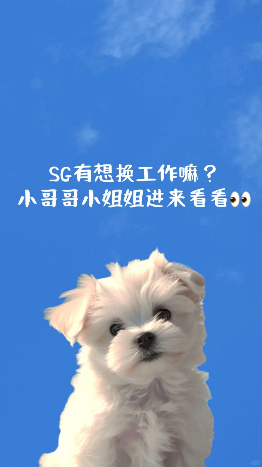 ?【高薪诚聘】新加坡企业秘书助理!