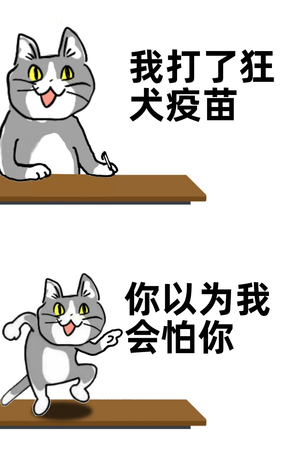 我就是月薪三千的命?