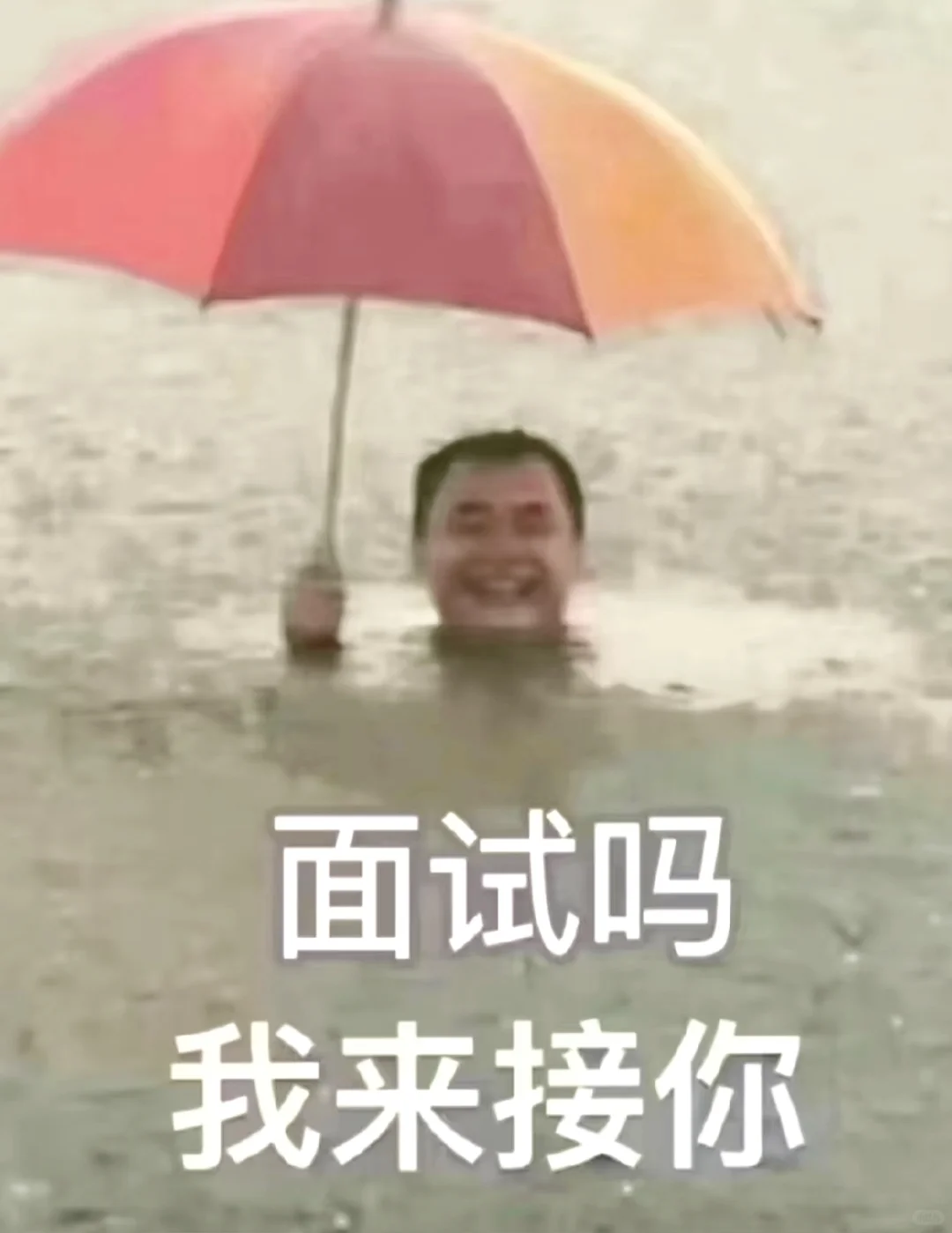 招人！招人！look at me