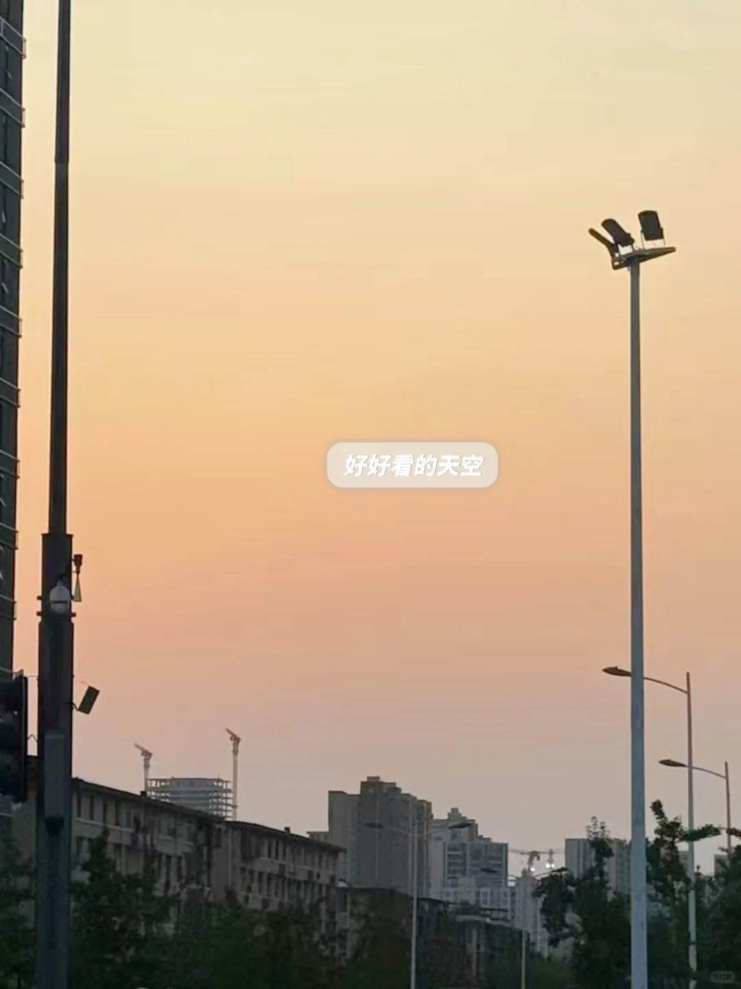 小众但意外好进的:东莞外企
