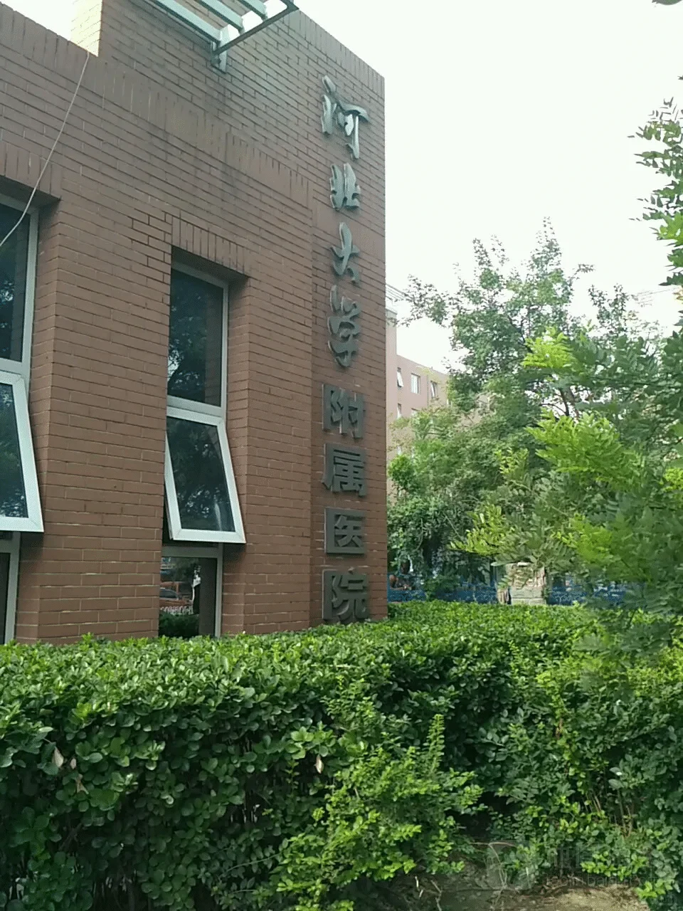 ?护理姐妹们集合!2024医院招聘笔试攻略大