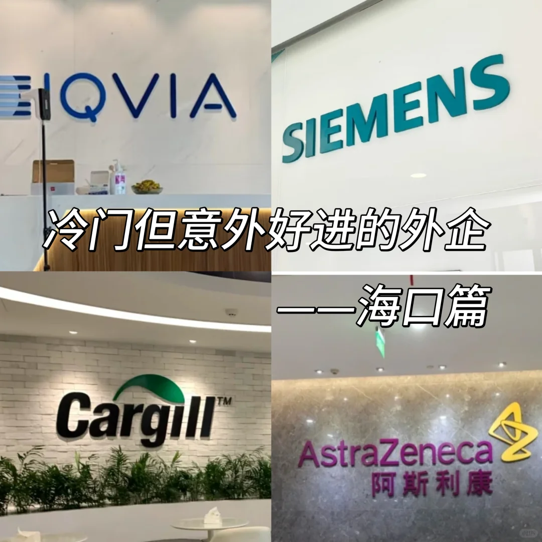 大学生冷门但意外好进的外企——海口篇