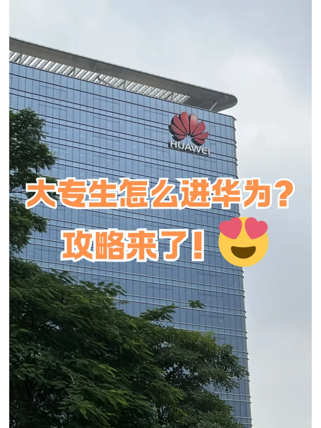 ?大专也能进华为!真实攻略+避坑指南!