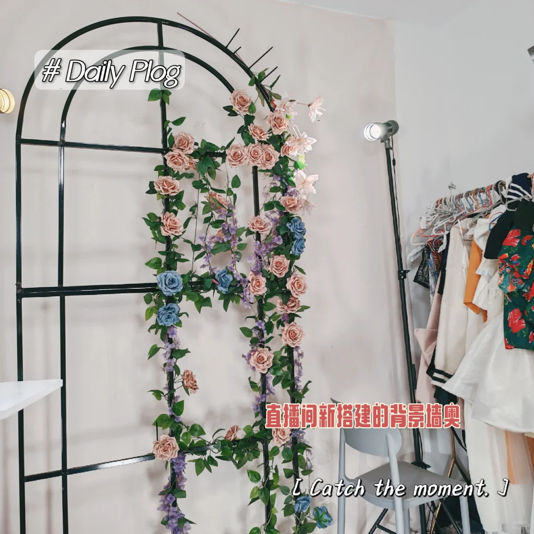 ⭐️传媒公司当人事的日常Vlog之招主播篇