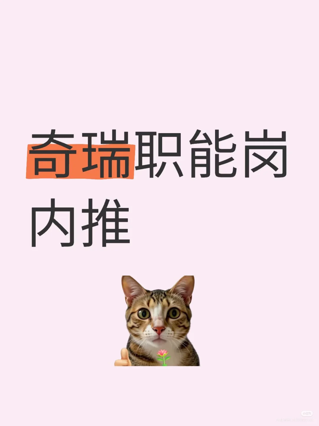 奇瑞持续内推中
