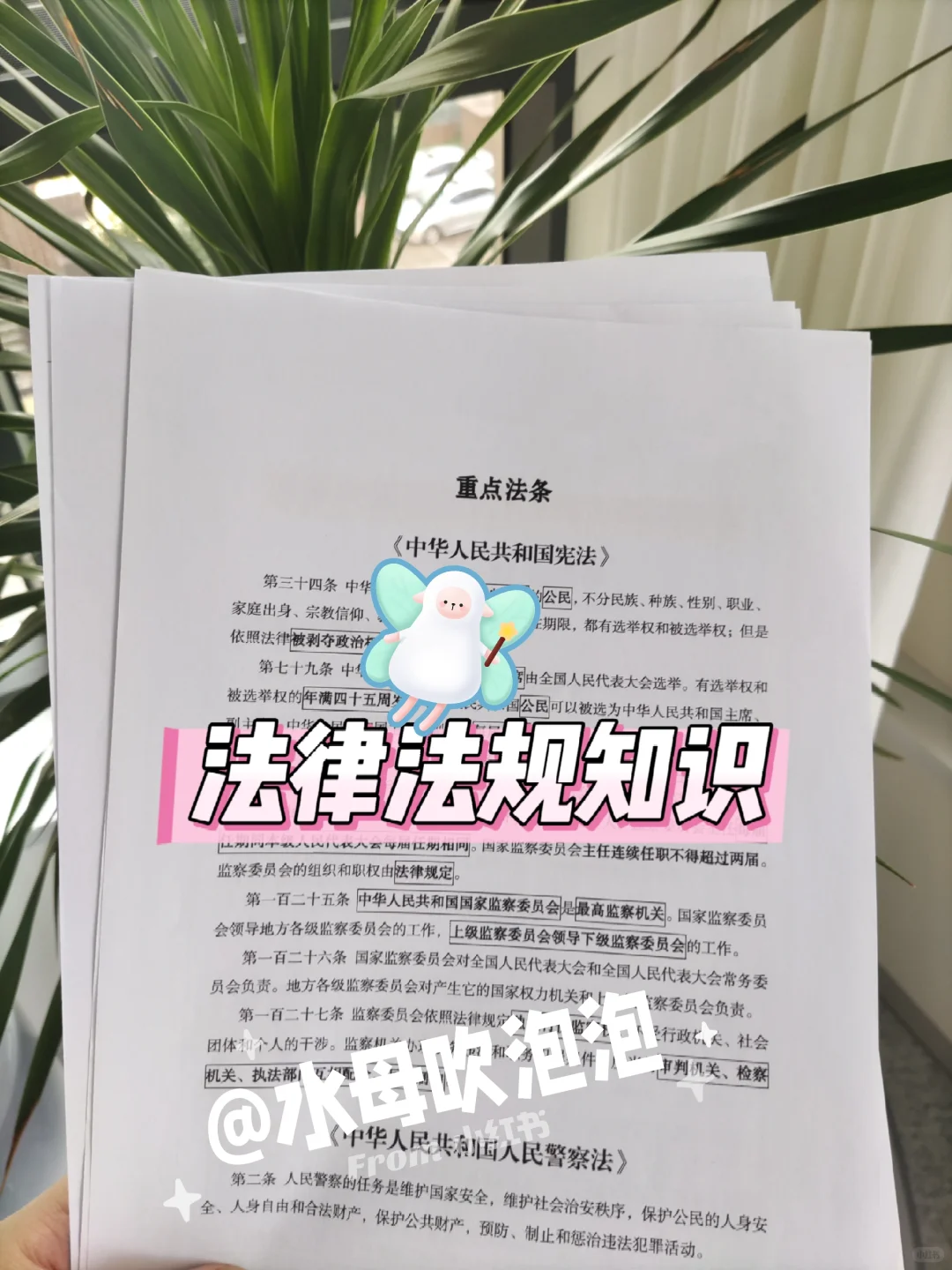 山东聊城市辅警招聘249人,能拉一个算一个