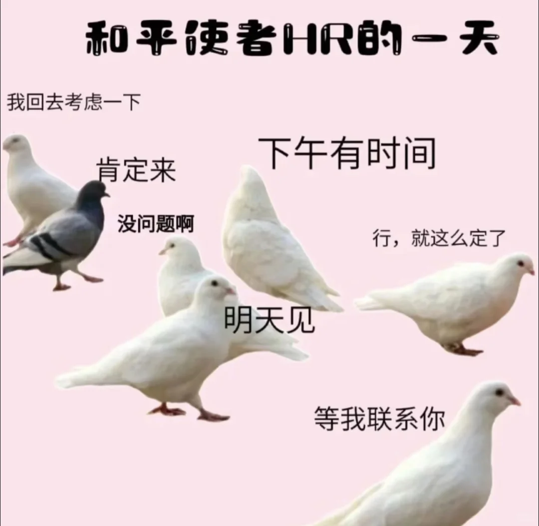 没事的没事的,我只是被鸽的HR