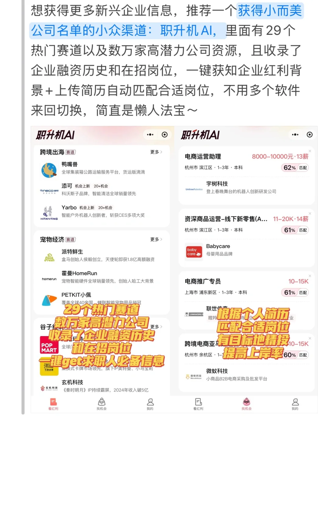 0608今天投点什么|双非也能进大厂❗️