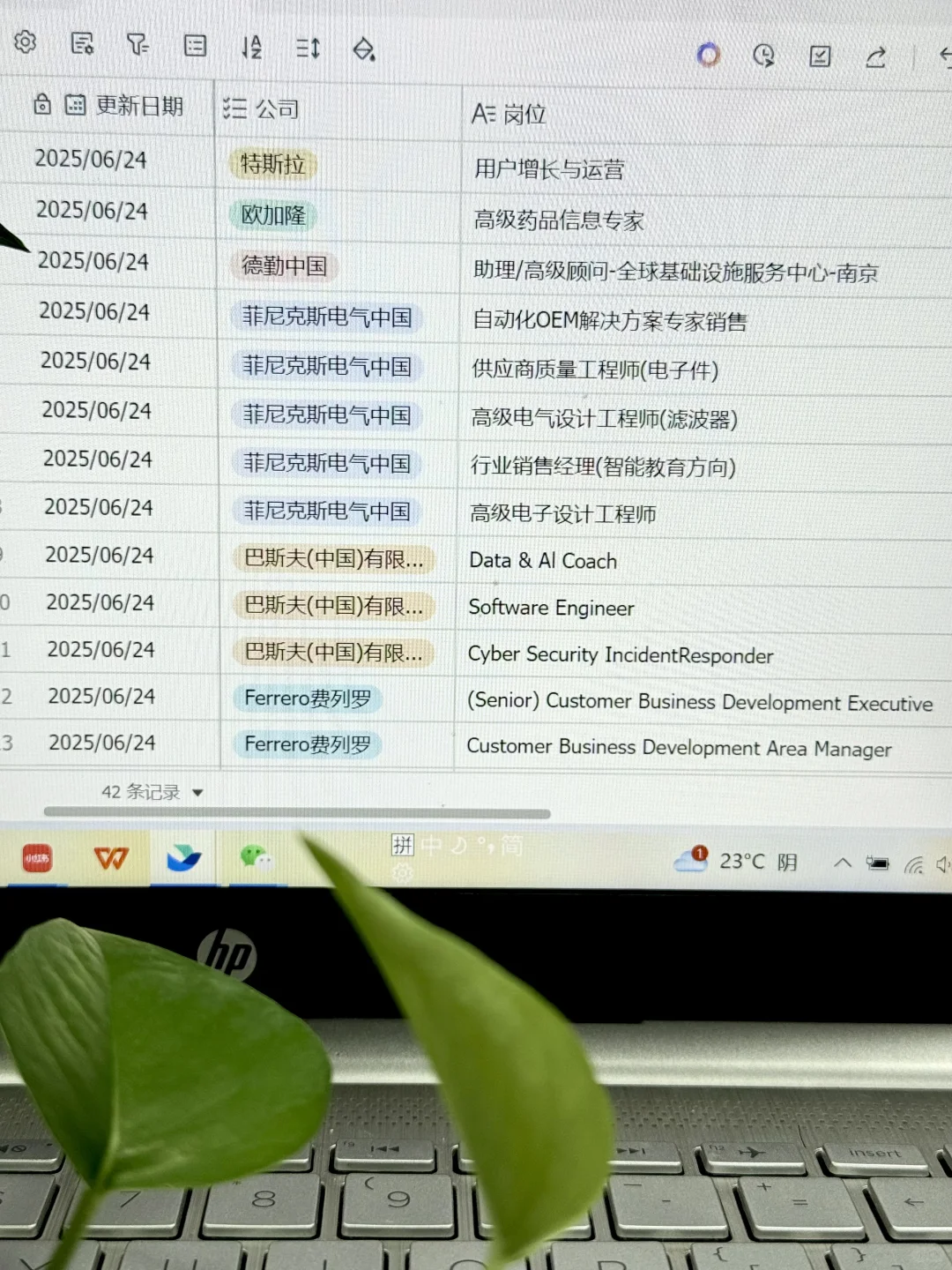 6.24更新|南京外企招人❗️小众但意外好进