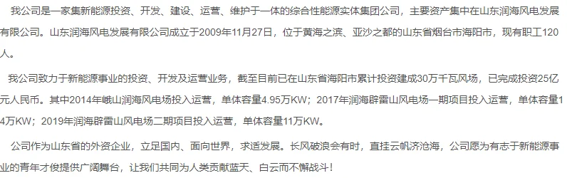 山东润海风电发展有限公司招聘风电人才