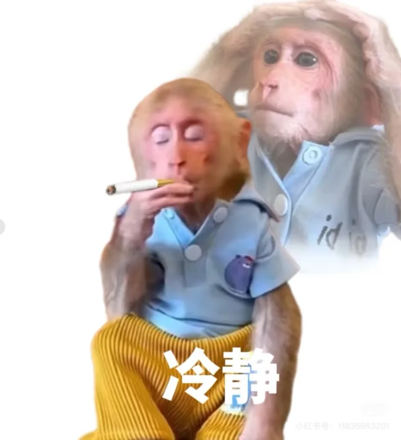 真的不要乱招人,不够赔的