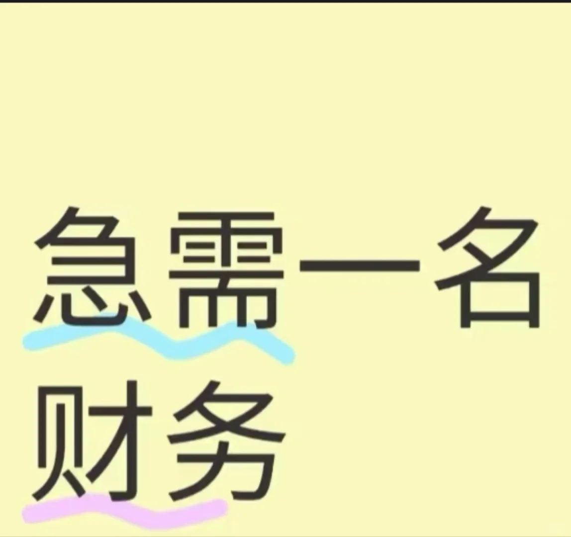 急聘财务专员