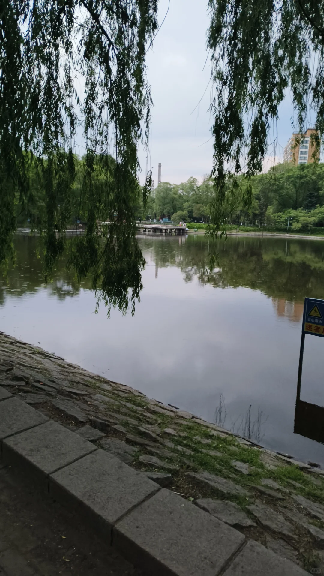 齐齐哈尔克东县招聘