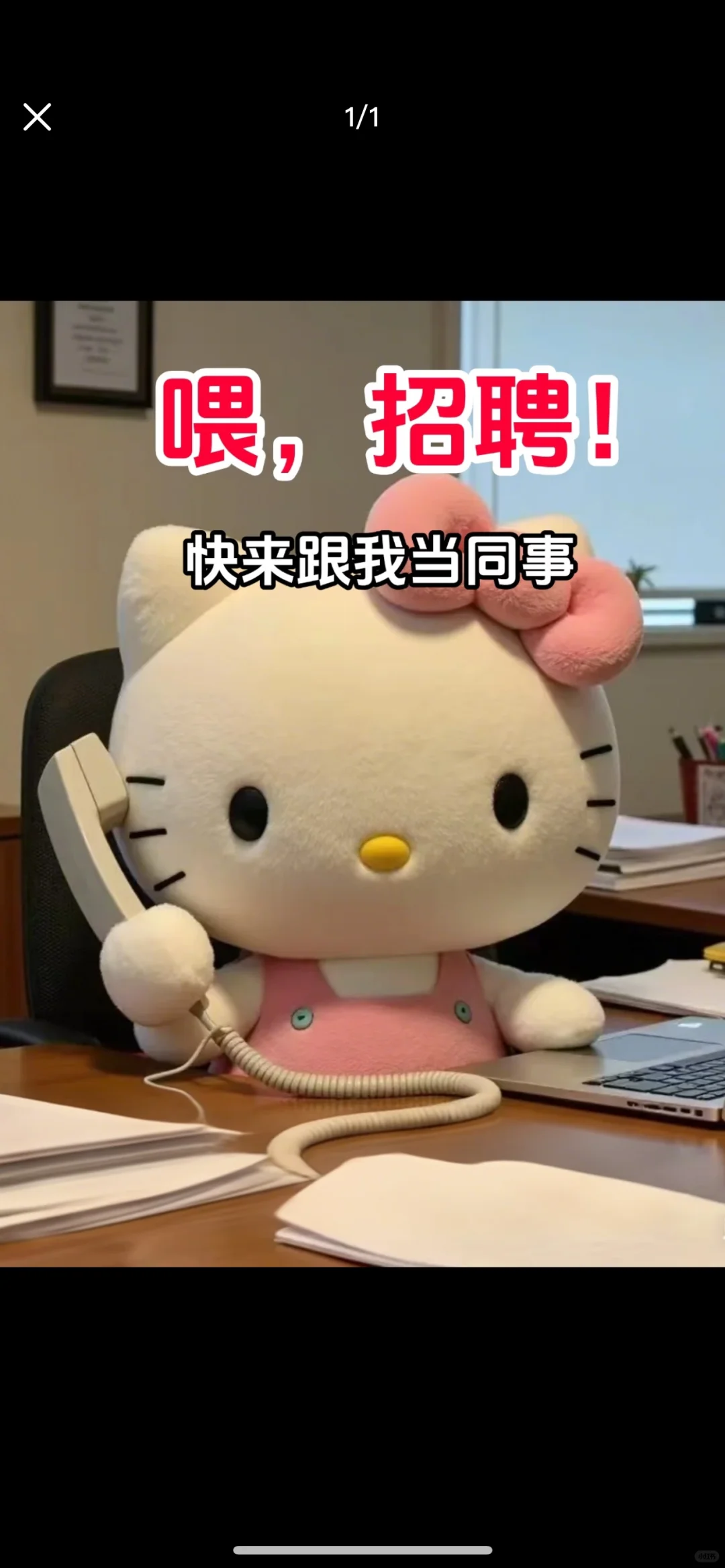 预售精英来集合咯 招聘预售人员了！