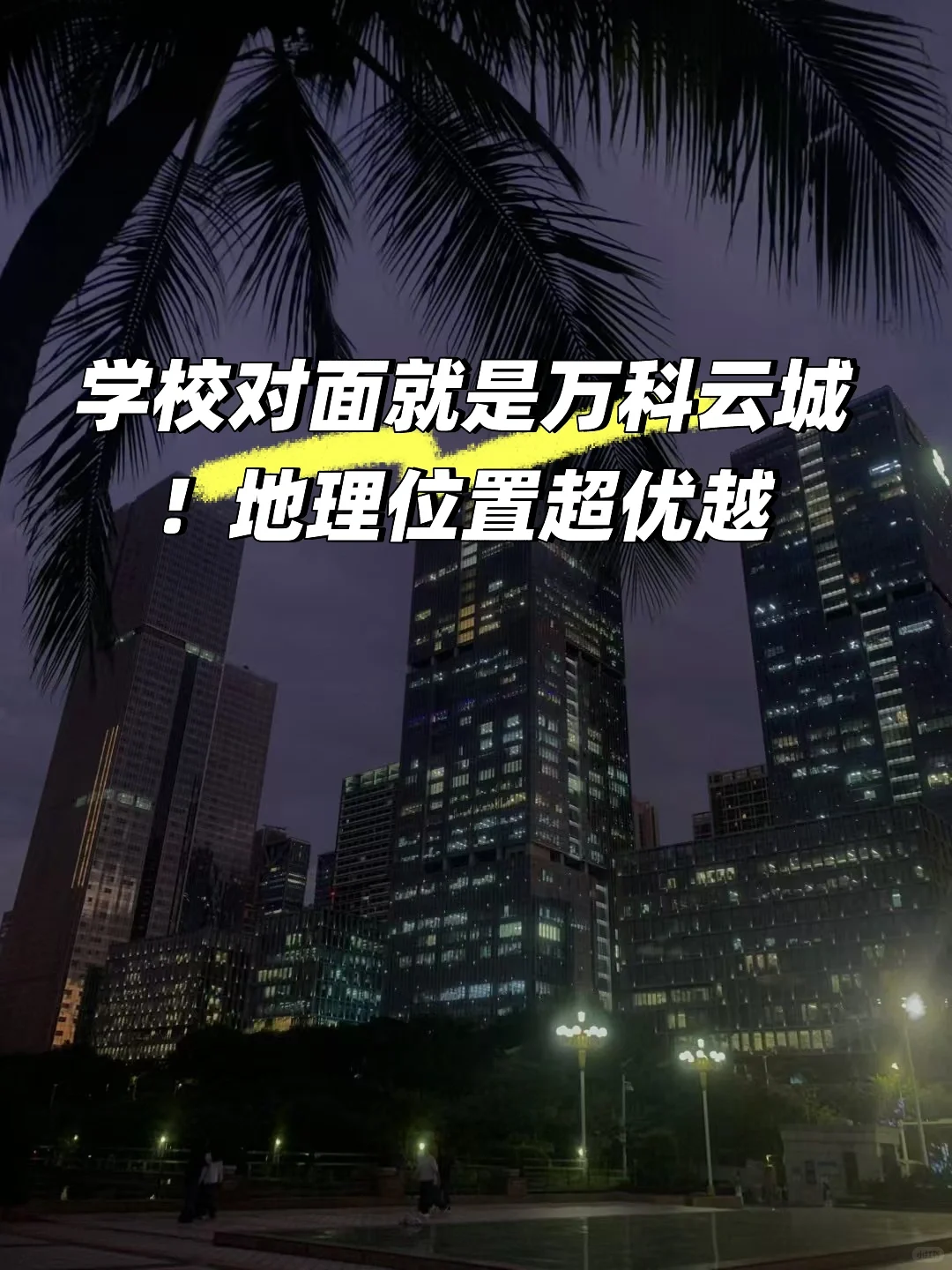 深职大24届大二预备役学姐在线解答！