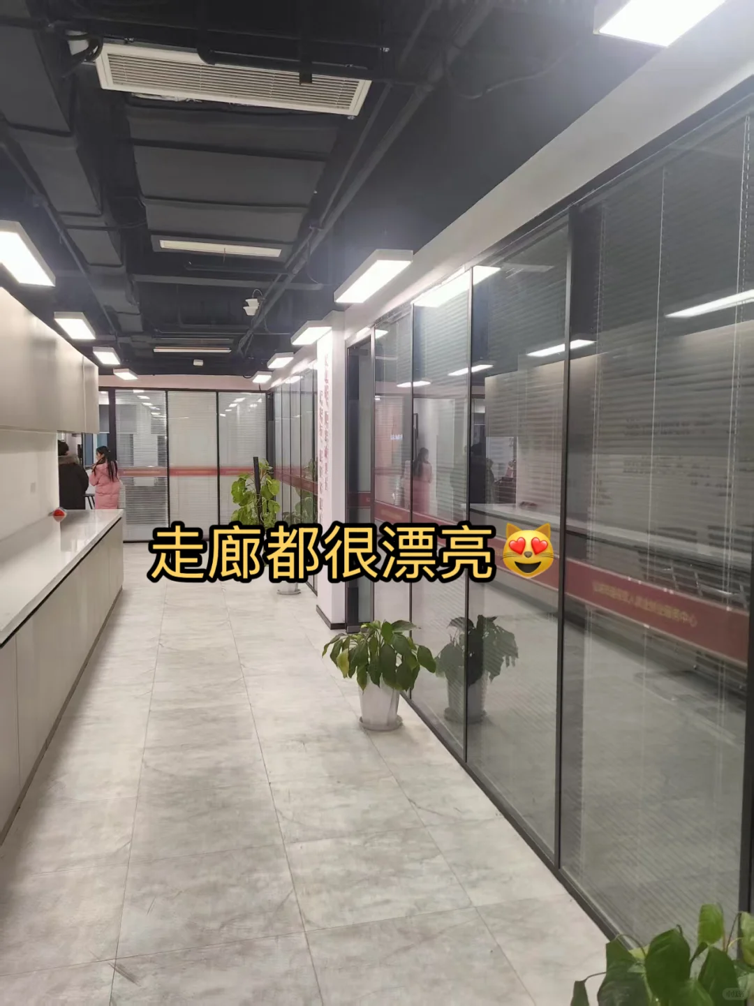 直播带货三年 能赚多少钱????